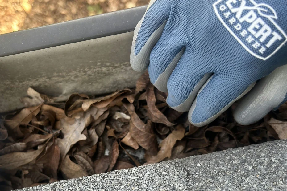 Gutter Cleaning Sharonville